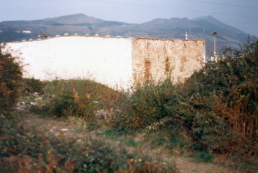 irudia