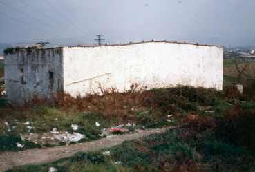 irudia