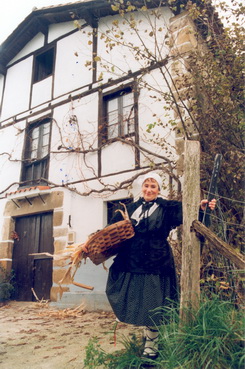 irudia
