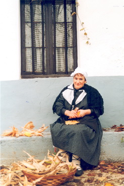 irudia