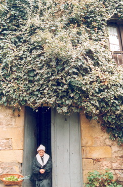 irudia