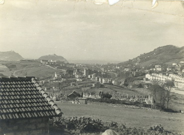 irudia