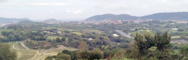 irudia