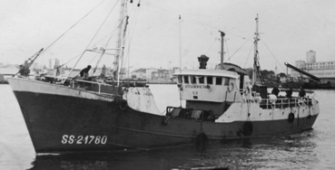 irudia
