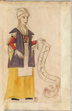 irudia