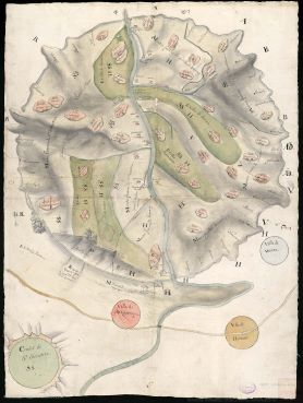 irudia