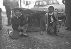 irudia