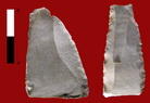 irudia