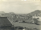 irudia