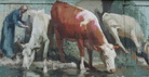 irudia