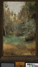 irudia