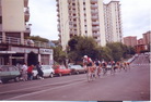 irudia