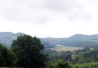 irudia