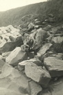 irudia