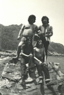 irudia