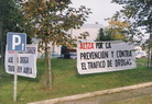irudia