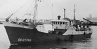 irudia