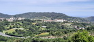 irudia