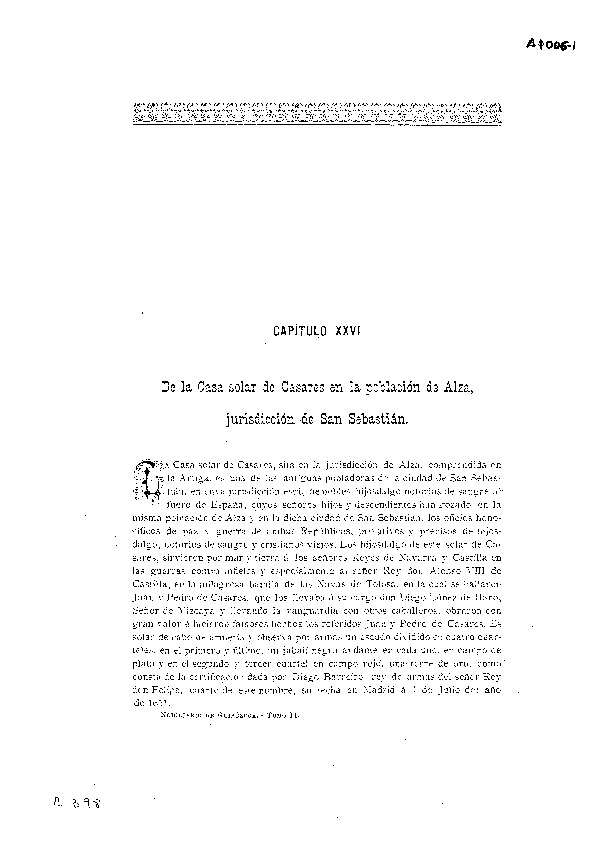 irudia