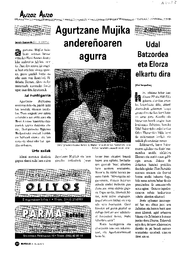 irudia