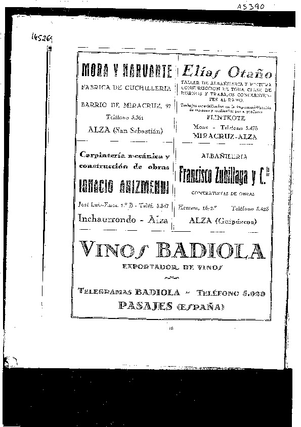 irudia