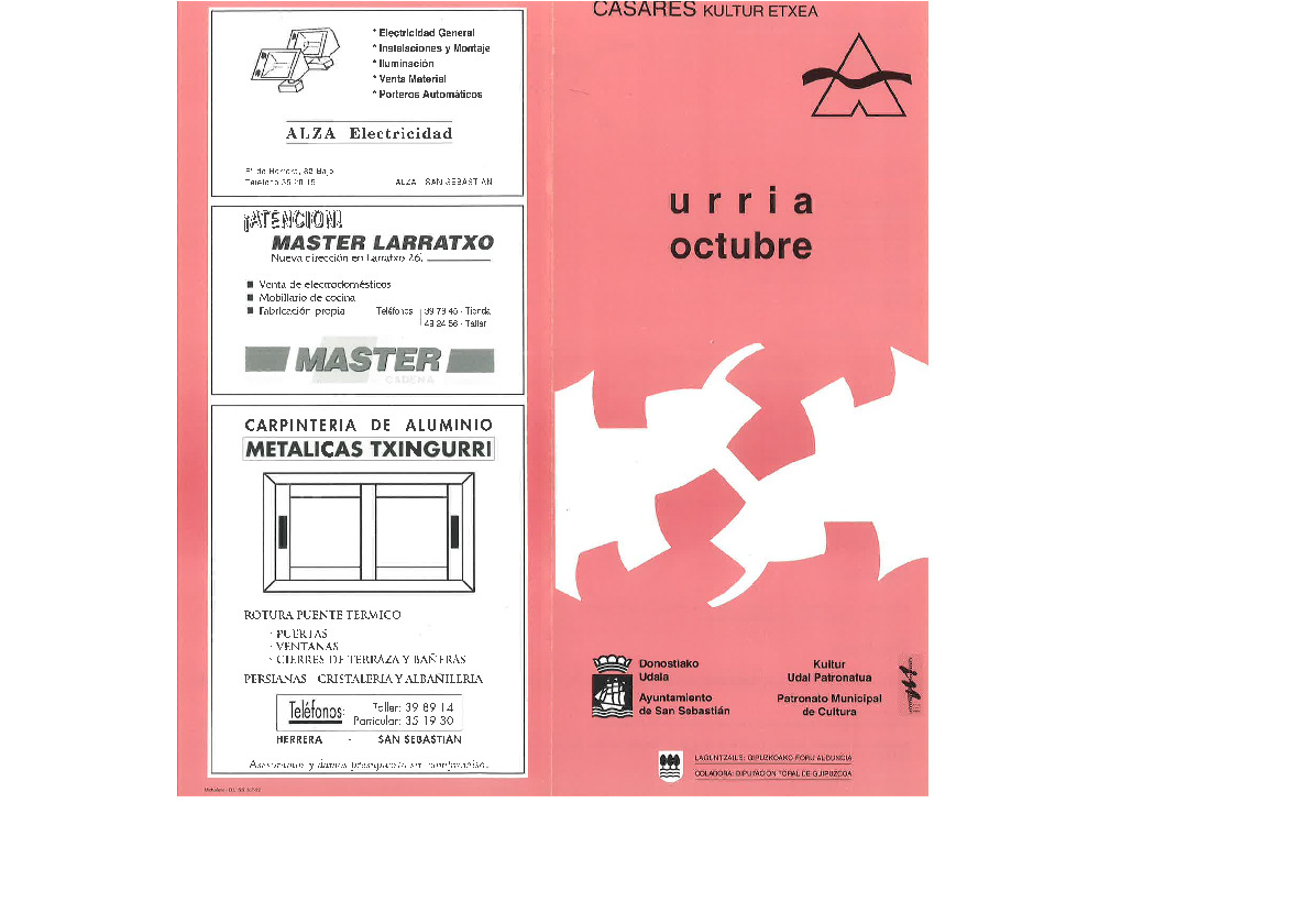 irudia